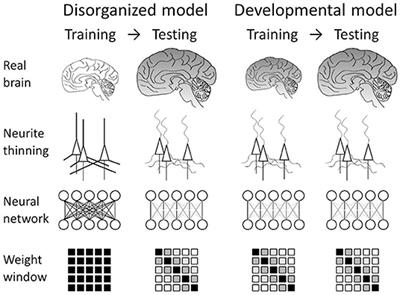 Schizophrenia-Mimicking Layers Outperform Conventional Neural Network Layers